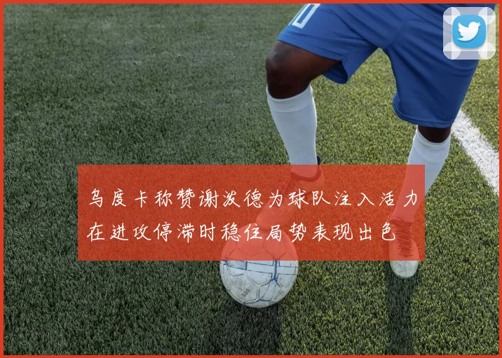 乌度卡称赞谢泼德为球队注入活力在进攻停滞时稳住局势表现出色