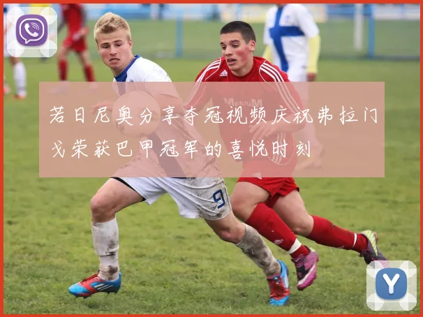 若日尼奥分享夺冠视频庆祝弗拉门戈荣获巴甲冠军的喜悦时刻